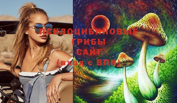 тгк Аркадак